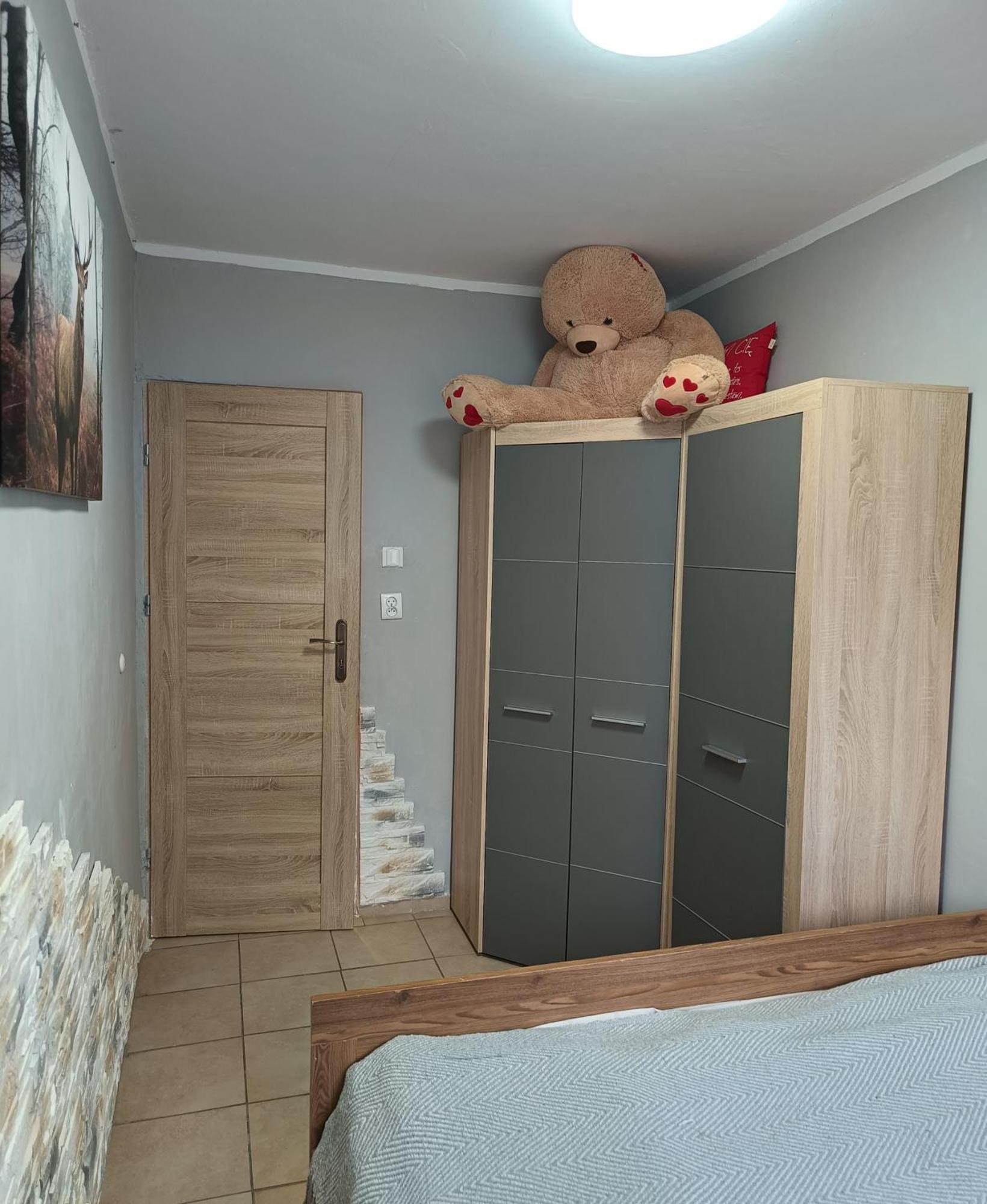 Apartament Przy Parku كولوبرزيغ المظهر الخارجي الصورة